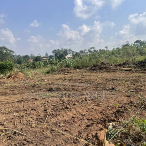 25007332_MTYwMC0xMjAwLWY1ZTIwNDVhMWU 1